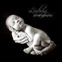 Ludwig Photography
