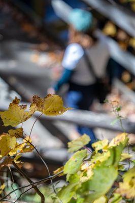 Small Falls Rest Area