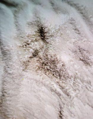 Travelodge by Wyndham Santa Clarita/Valencia