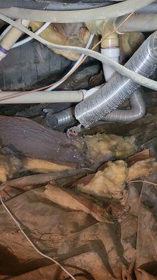 SCS Property Consultants