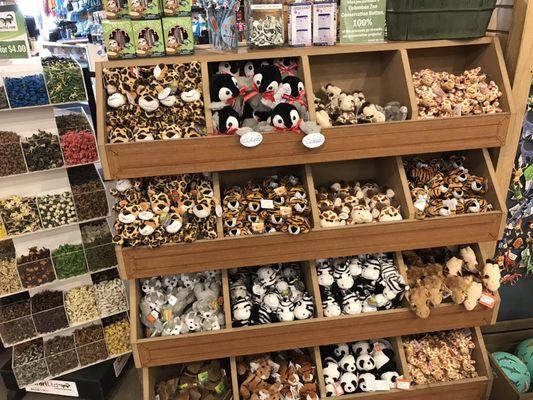 Junior Zookeeper Gift Shop