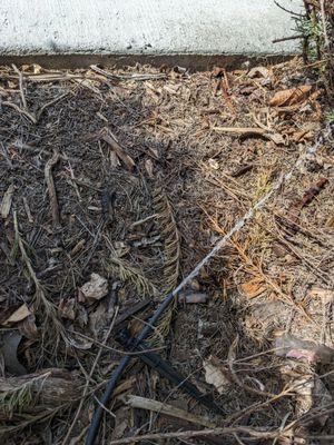 Affordable Lawn Service & Sprinkler Repair