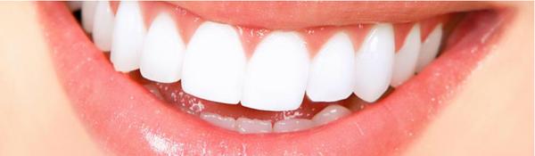 Lamont E Hesselgesser, DDS