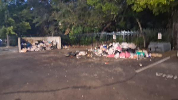 Timberfalls Apartments