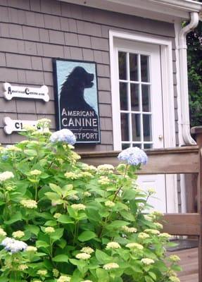 Welcome to the Villa!