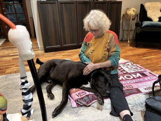 Heart and Hands Dog Massage