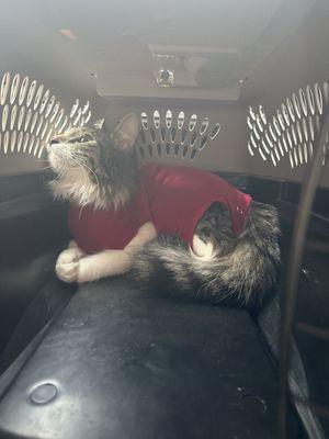 Methuen Veterinary Hospital