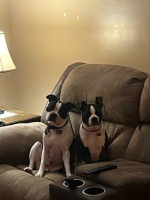 Fayette Veterinary Hospital