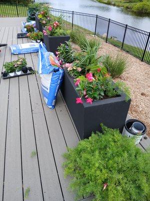 Sunnyside Landscaping