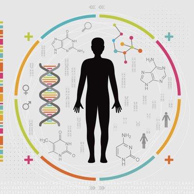 Southern Integrative and Enviromental Medical