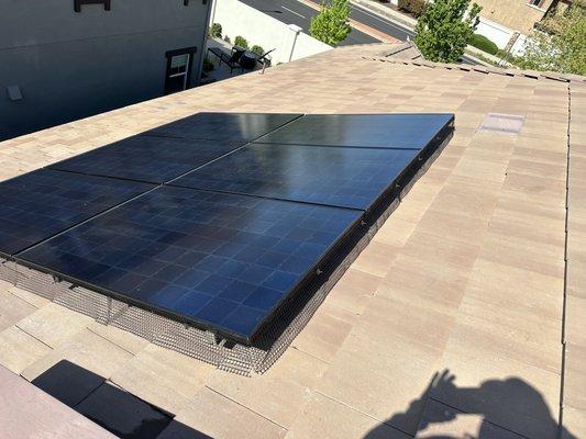 Integrity Pest Management