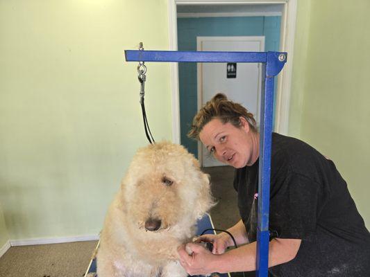 Shag-A-Poos Pet Parlor