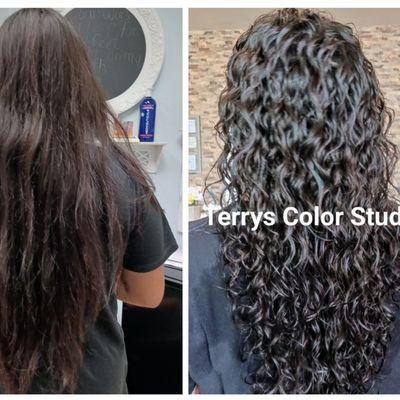 Terry's Color Studio