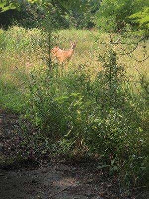 Kentucky State of Tom Sawyer State Park