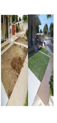 Affordable Landscape