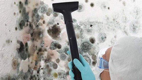 Mobile Detail Environmental LLC