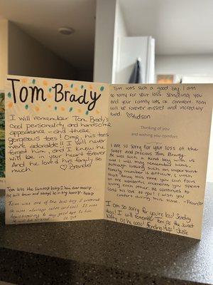 Maynard Animal Hospital