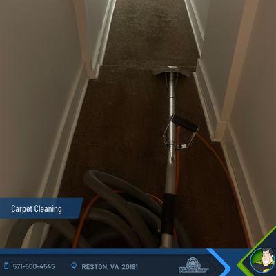 Carpet Cleaning