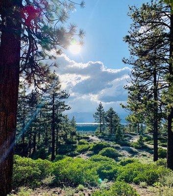 Help U Sell Horizon Line Realty