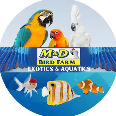 M & D Bird World