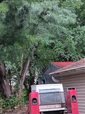 A Top Notch Enterprise & Tree Service