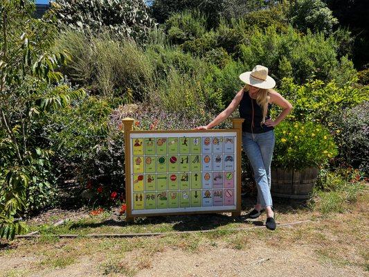 AAC Communication Boards fabricated by Talking Tree Therapists for public and private parks