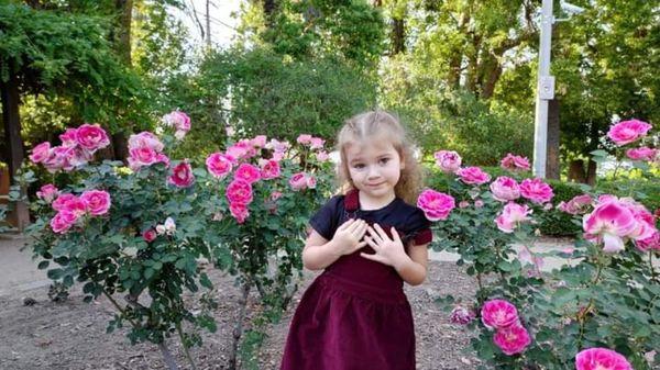 Adorable Bears Childcare