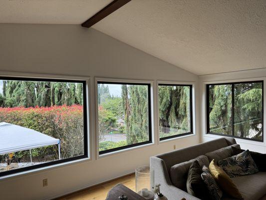 Energyguard Windows & Doors
