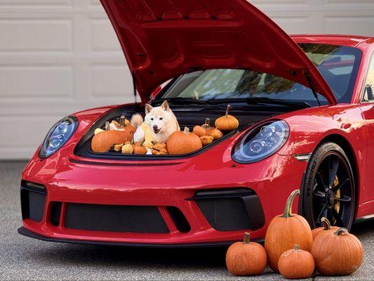 Porsche Seattle North