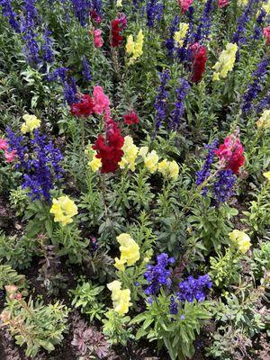 The Hunter Creek Trail