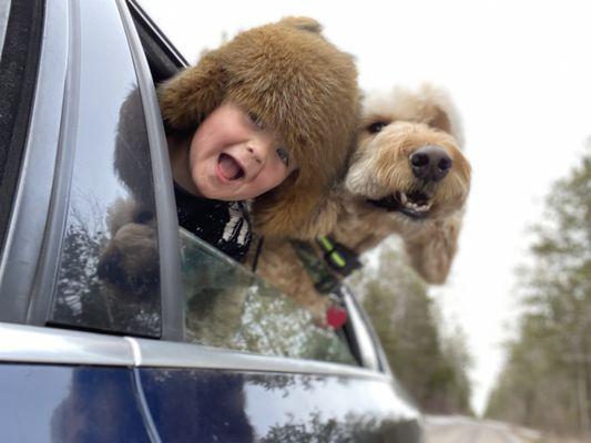 My team of inspectors