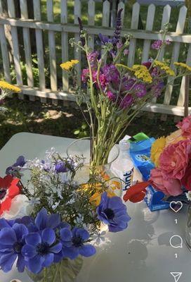 The Dudley Farm Museum