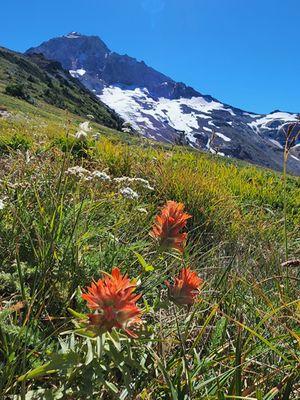 View from the meadow below Ho Rock on the McNeil trail.