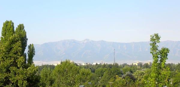 Roger Welsh - Coldwell Banker Gold Key Realty