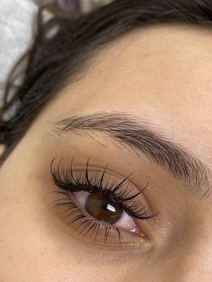 Lashberry Beauty & Esthetics