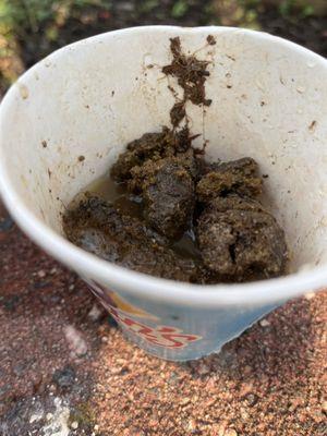 I ordered a cola float and they gave me a cup of shit. I also saw a lady pissing on the parking lot. This was a very bad experienc