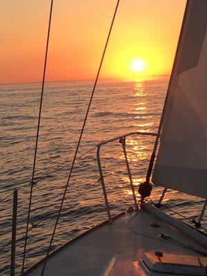 McCaughan & Mandiola Real Estate