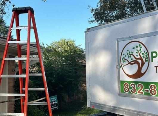 Pura Vida Tree Service