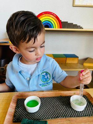 The Lulus Montessori