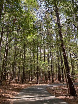 Lake Norman Cove At Jetton