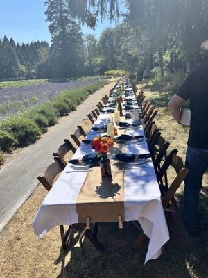 Wayward Winds Lavender Farm
