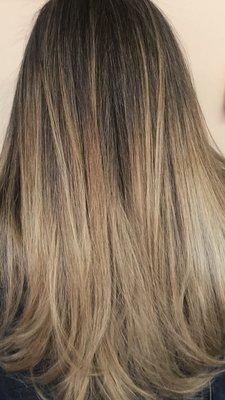 Carlos Salinas Salon