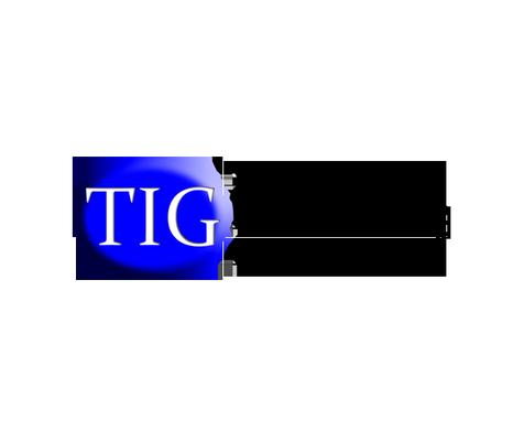 Transnet Investigative Group