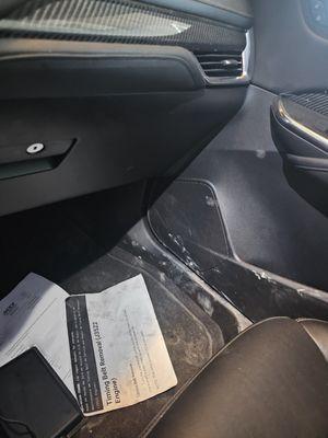 Dirty condition my car was left in