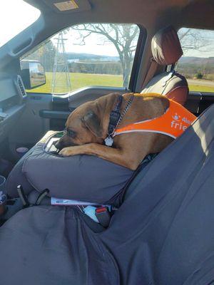 Faithful Associate Ready to Work!