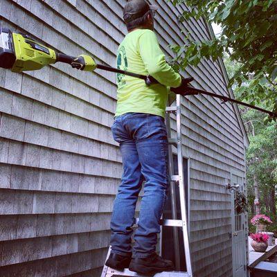 Small Tree Work, Limb Trimming