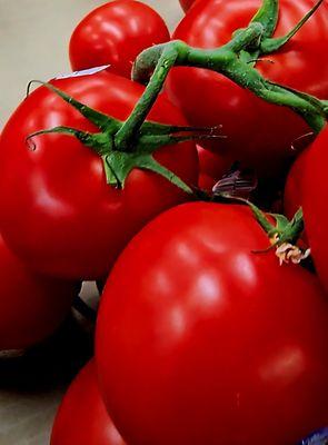 The BEST tomatoes