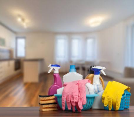 The Elegant Touch Maids