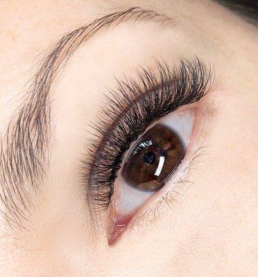 Art of Lash