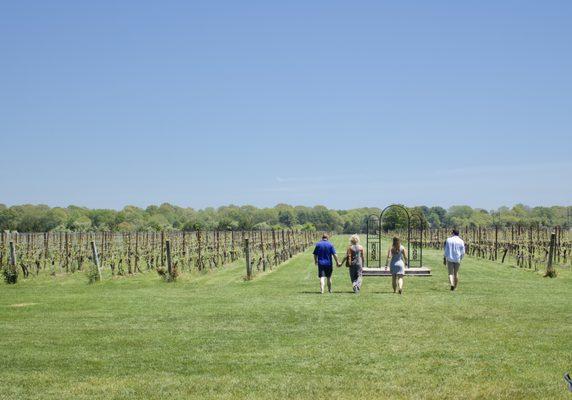 Food tours visit special local wine and craft brew spots